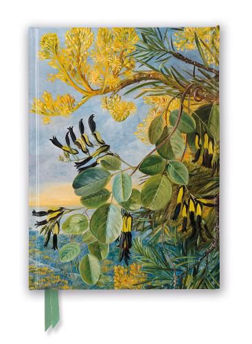 Cover image for Foiled Journal #288: Marianne North, Flowers Of The Flame&#45;tree And Yellow And Black Twiner, West Australia