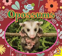 Cover image for Opossums