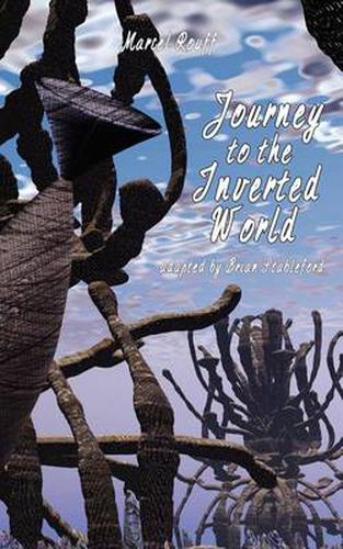 Cover image for Journey to the Inverted World