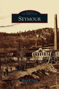 Cover image for Seymour