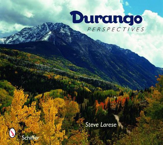 Cover image for Durango Perspectives