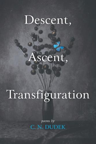 Cover image for Descent, Ascent, Transfiguration