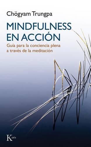 Mindfulness En Accion: Guia Para La Conciencia Plena a Traves de la Meditacion