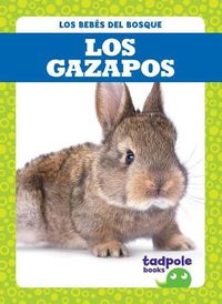 Cover image for Los Gazapos (Rabbit Kits)