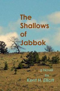 Cover image for The Shallows of Jabbok