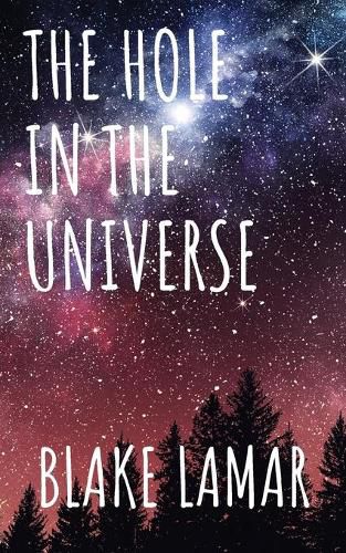 Cover image for The Hole in the Universe