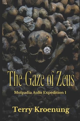 Cover image for The Gaze of Zeus