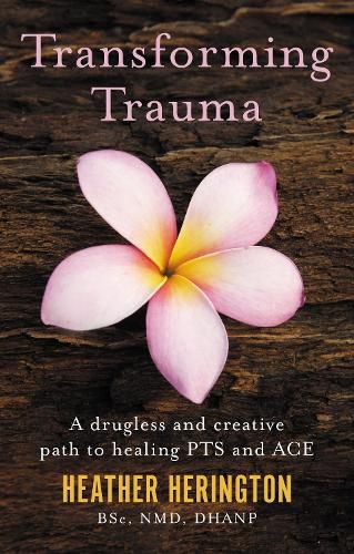 Cover image for Transforming Trauma: A drugless and creative path to healing PTS and ACE