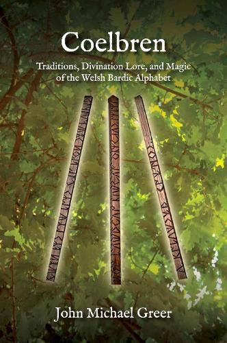 Cover image for Coelbren