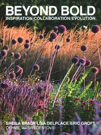 Cover image for Beyond Bold: Inspiration, Collaboration, Evolution