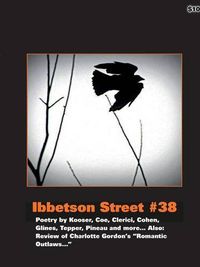 Cover image for Ibbetson Street #38