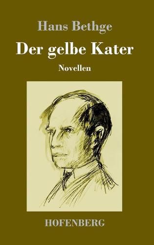 Cover image for Der gelbe Kater: Novellen