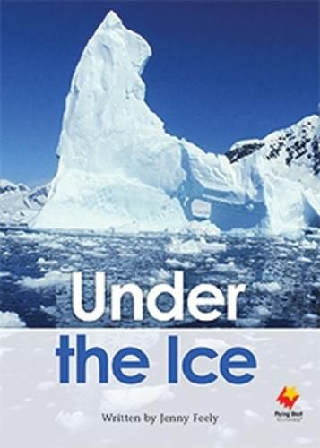 Cover image for Under the Ice