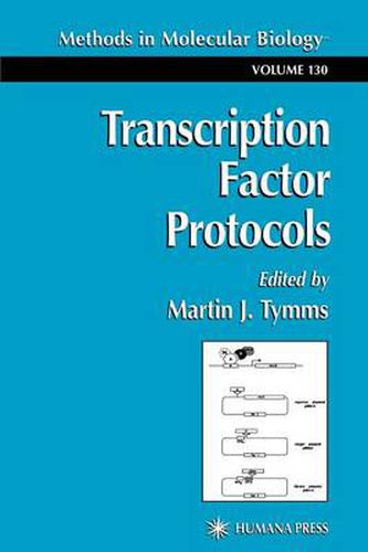 Cover image for Transcription Factor Protocols