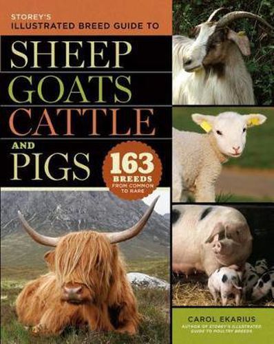 Cover image for Storey's Illustrated Breed Guide to Sheep, Goats, Cattle and Pigs