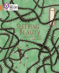 Cover image for Sleeping Beauty: Band 12/Copper