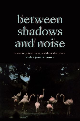 Between Shadows and Noise