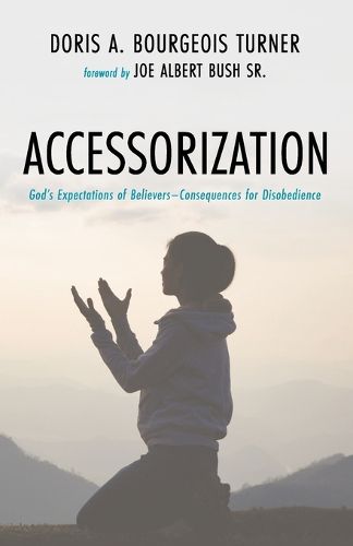 Cover image for Accessorization