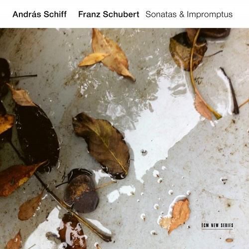 Franz Schubert: Sonatas and Impromptus