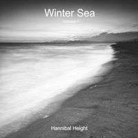 Cover image for Winter Sea - Volume 1