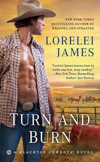 Cover image for Turn and Burn