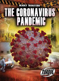 Cover image for The Corona Virus Pandemic