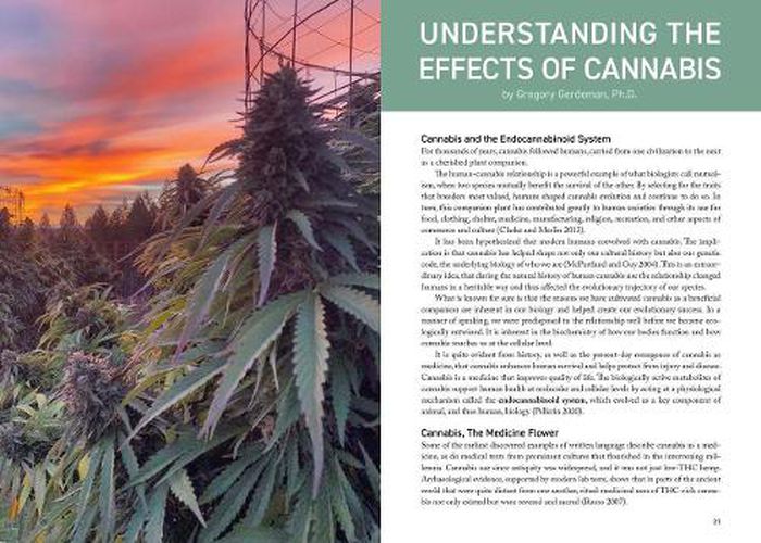 Cannabis Grower's Handbook: The Complete Guide to Marijuana and Hemp Cultivation