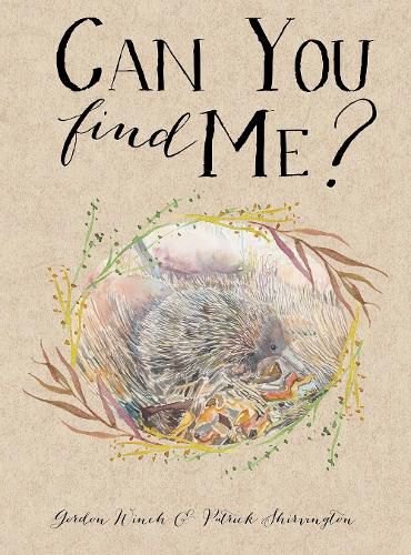 Cover image for Can You Find Me?