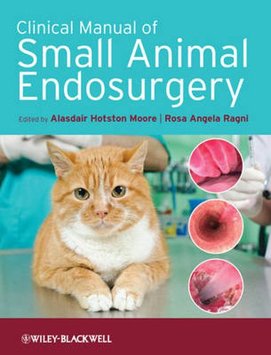 Cover image for Clinical Manual of Small Animal Endosurgery