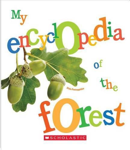 Cover image for My Encyclopedia of the Forest (My Encyclopedia)