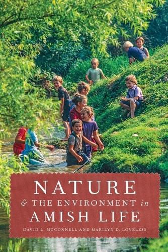 Cover image for Nature and the Environment in Amish Life