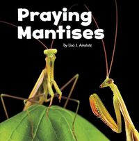 Cover image for Praying Mantises