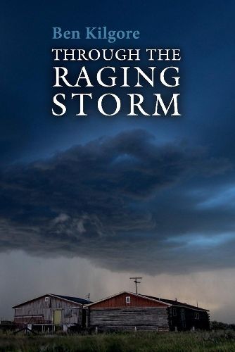 Cover image for Through the Raging Storm