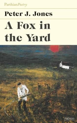 Cover image for Fox in the Yard