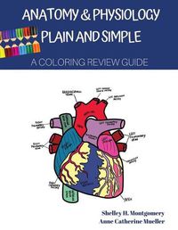 Cover image for Anatomy & Physiology Plain and Simple: A Coloring Review Guide