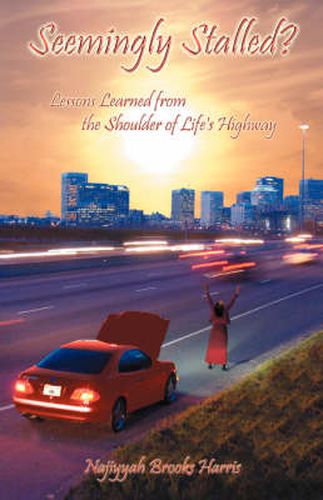 Cover image for Seemingly Stalled?: Lessons Learned from the Shoulder of Life's Highway