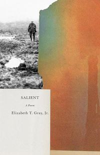 Cover image for Salient