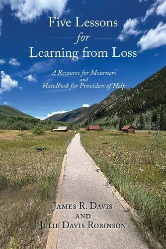 Cover image for Five Lessons for Learning from Loss