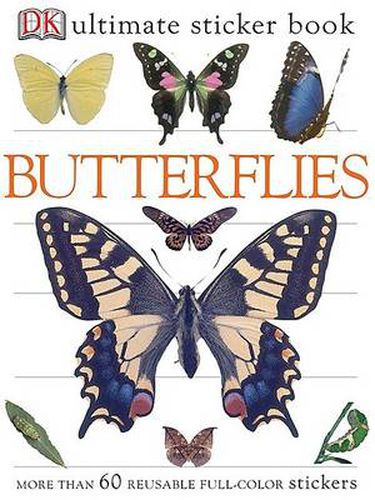 Cover image for Ultimate Sticker Book: Butterflies: More Than 60 Reusable Full-Color Stickers