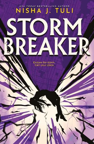 Cover image for Storm Breaker