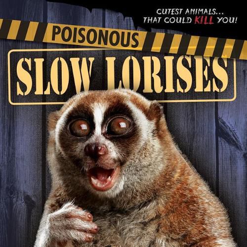 Poisonous Slow Lorises