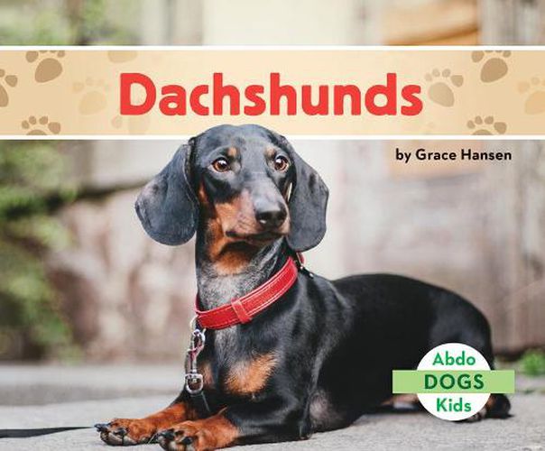 Cover image for Dachshunds