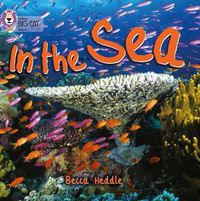Cover image for In the Sea: Band 01b/Pink B