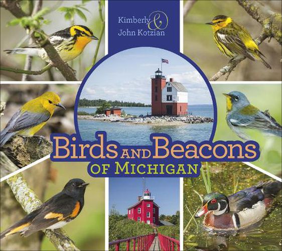 Cover image for Birds and Beacons of Michigan