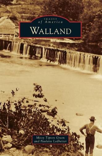 Cover image for Walland