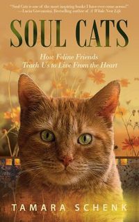 Cover image for Soul Cats