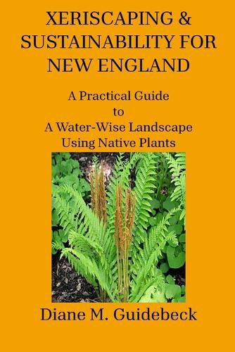 Cover image for Xeriscaping & Sustainability for New England