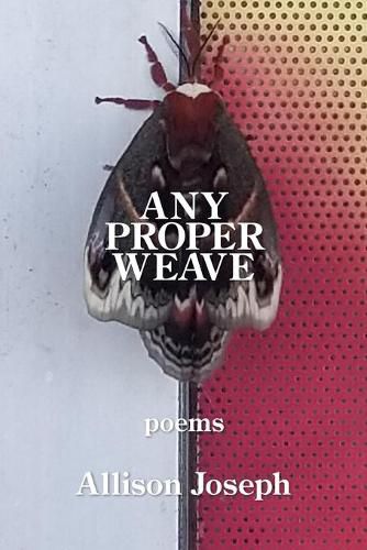 Cover image for Any Proper Weave