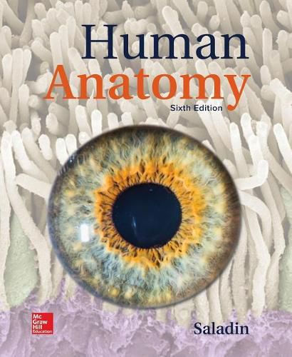 Cover image for Visuals for Saladin Human Anatomy (Illustrations Only)