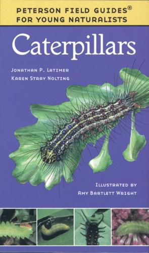 Cover image for Caterpillars